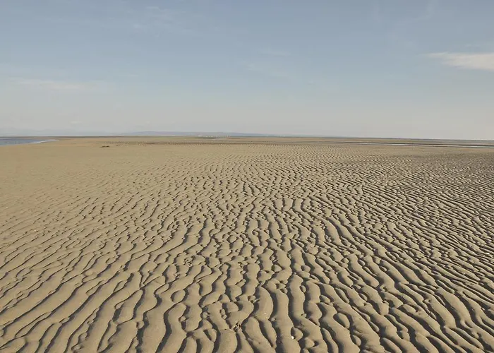 Luogo Di Pace * Grado